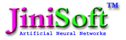 JiniSoft Corporation