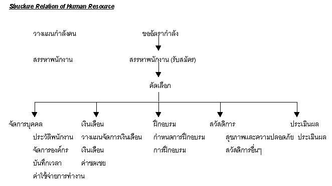 Structure Of HR.jpg (25201 bytes)
